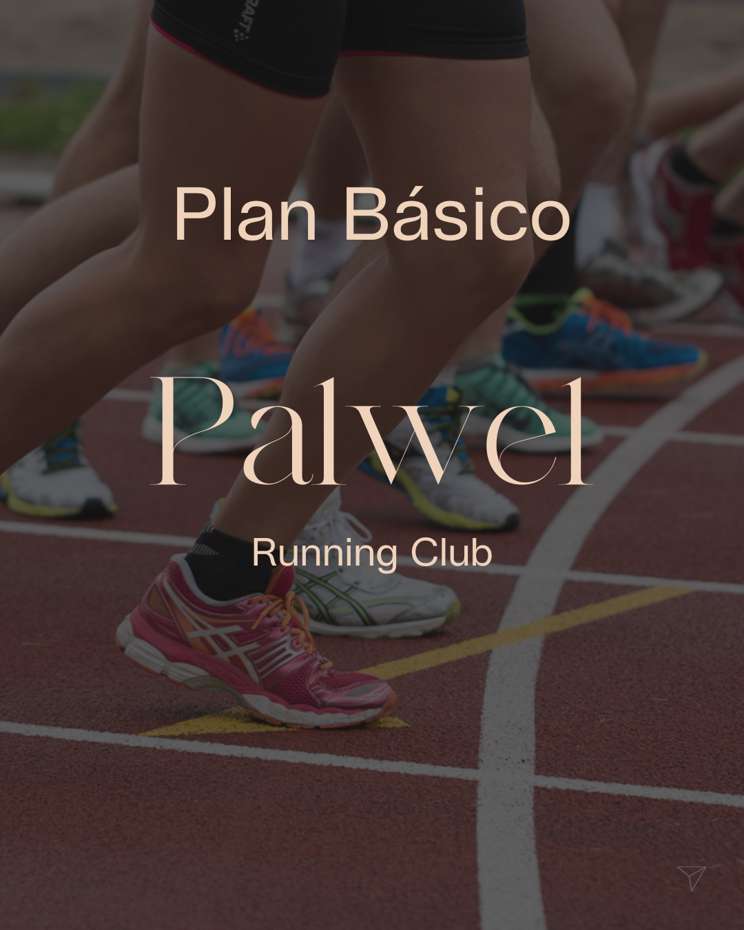 Plan Básico Palwel - Abril 26