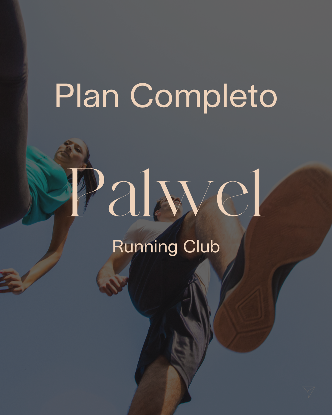 Plan Completo Palwel - Abril 26