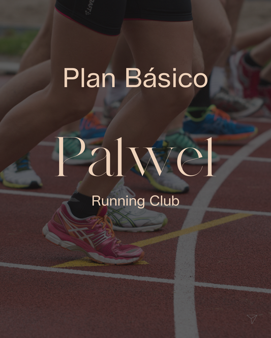 Plan Básico Palwel - Marzo 26
